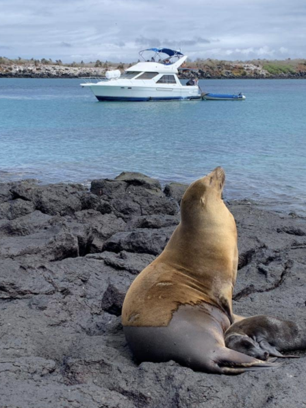 Screenshot 2025-08-29 at 16.17.45